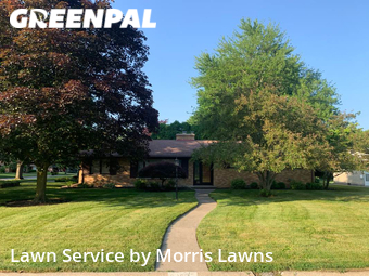 Grass Cut nearby Toledo, OH, 