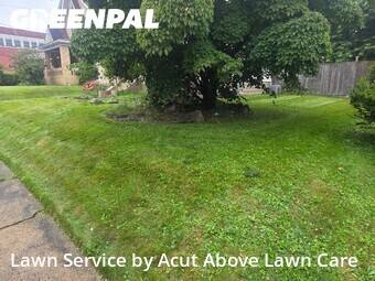 Yard Cutting nearby Munhall, PA, 