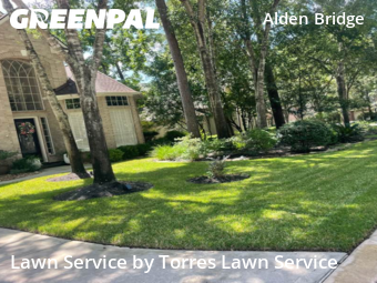 Lawn Maintenance nearby Spring, TX, 
