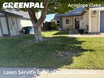 Lawn Mow nearby Antelope, CA, 