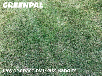 Lawn Mowing Service nearby Billings, MT, 