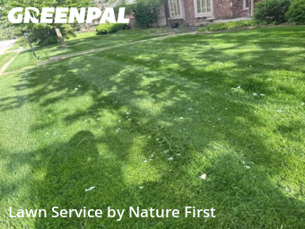 Lawn Care Service nearby Carmel, IN, 