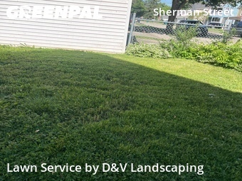 Lawn Maintenancein Joliet,60433,Lawn Mowing Service by D&V Landscaping , work completed in Jun , 2026
