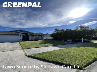Lawn Cutin Oldsmar,34677,Yard Mowing by Sfr Lawn Care Llc, work completed in Nov , 2025