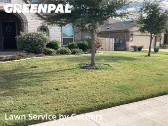 Lawn Maintenance nearby Pflugerville, TX, 