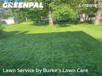 Grass Cut nearby Minneapolis, MN, 