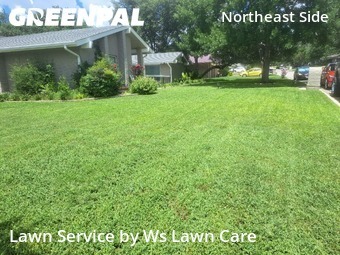 Lawn Cutting nearby Windcrest, TX, 
