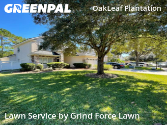 Grass Cut nearby Orange Park, FL, 