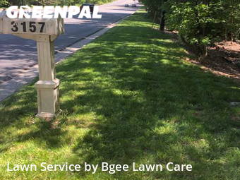 Lawn Cutting nearby Rock Hill, NC, 