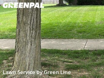 Lawn Mowing Service nearby Bolingbrook, IL, 