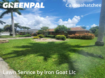 Lawn Mow nearby Cape Coral, FL, 
