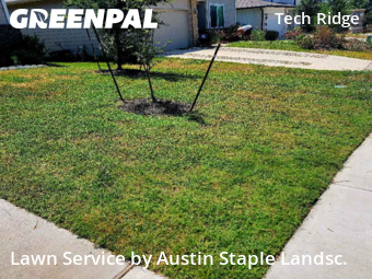 Yard Cutting nearby Pflugerville, TX, 