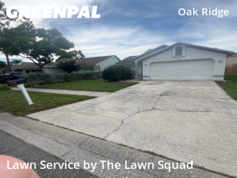 Lawn Mow nearby Tampa, FL, 