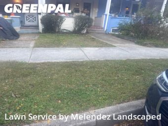 Grass Cutting in Dundalk, 21222, Weekly Mowing by Melendez Landscaped , work completed in Nov , 2025