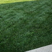 affordable-landscaping-maintenance-services-in-Brookfield-WI