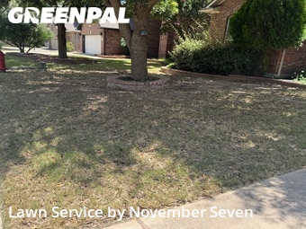 Lawn Mow nearby Cedar Park, TX, 