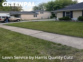 Yard Cutting nearby South Holland, IL, 