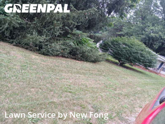 Yard Cutting nearby South Bend, IN, 