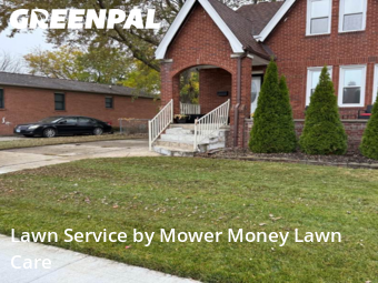 Turf Services in Eastpointe, 48021, Backyard Mowing by Mower Money Lawn Care, work completed in Nov , 2025