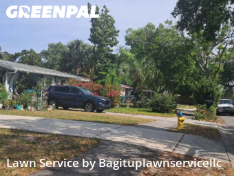 Grass Cut nearby Winter Springs, FL, 