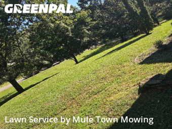 Yard Mowing nearby Brentwood, TN, 