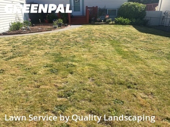 Lawn Mowing Service nearby Lynnwood, WA, 
