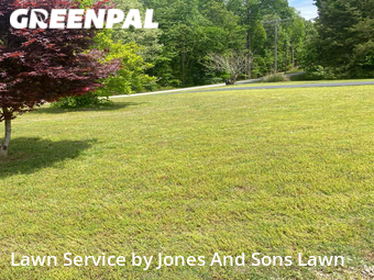 Lawn Maintenance nearby Disputanta, VA, 