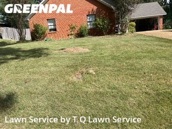Yard Cutting nearby Brandon, MS, 