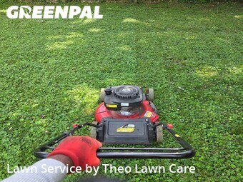 Lawn mowed in Canton, 44709