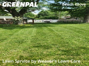 Lawn Mow nearby Beech Grove, IN, 