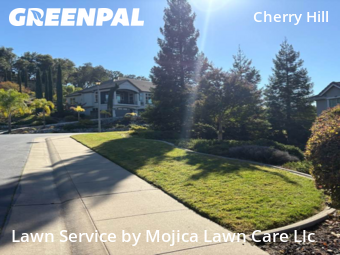 residential-lawn-cutting-businesses-in-Roseville-CA