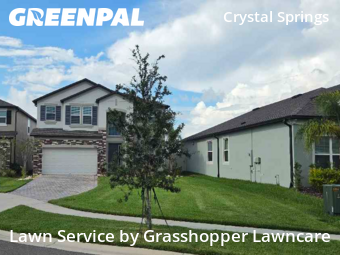 Grass Cut nearby Zephyrhills, FL, 