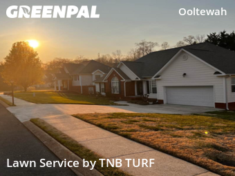 Lawn Care Service nearby Ooltewah, TN, 