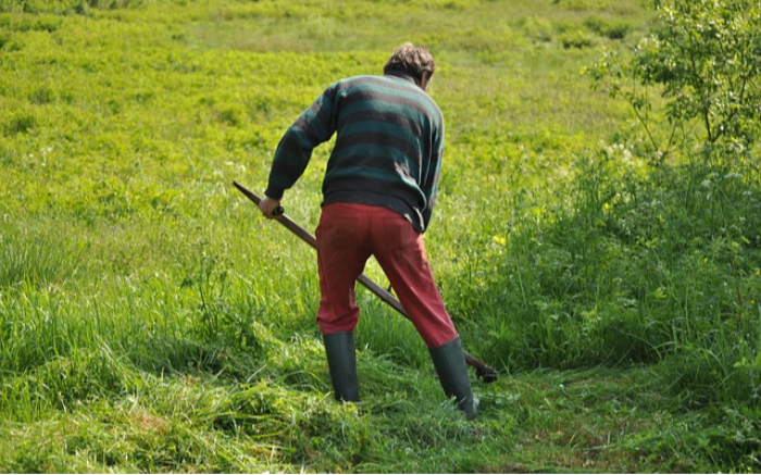 Work Image 1