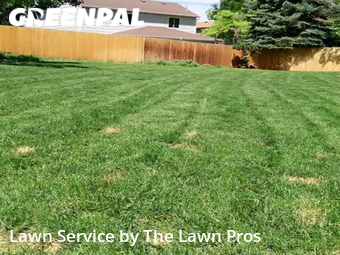 Yard Mowing nearby Thornton, CO, 