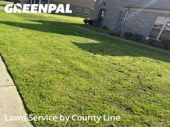 Yard Mowing nearby Arlington, TN, 