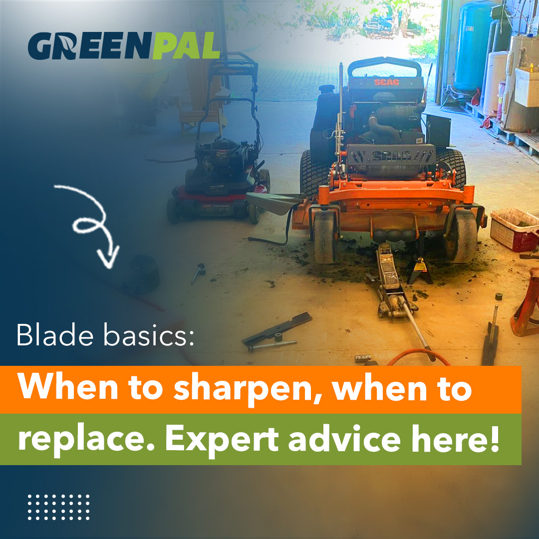 Lawnmower Blades When to Replace vs Sharpen Expert Tips on GreenPal