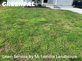 Lawn Care nearby Norfolk, VA, 