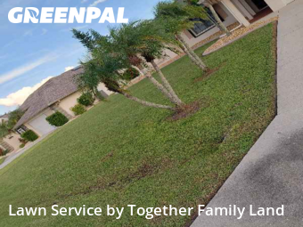 Grass Cut nearby Punta Gorda, FL, 
