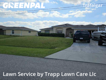 Lawn Cut nearby Cape Coral, FL, 