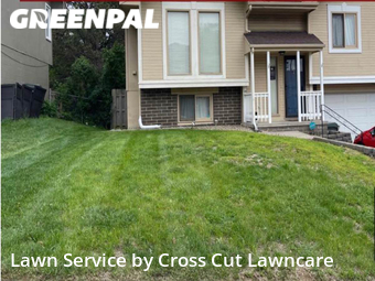 Yard Cutting nearby Omaha, NE, 
