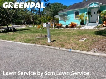 Lawn Mow nearby Dunedin, FL, 