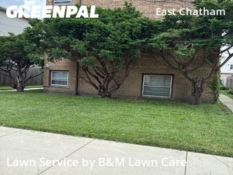 Lawn Care nearby Chicago, IL, 