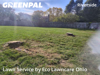 Property Maintenance in Dublin, 43017, Lawn Care by Eco Lawncare Ohio, work completed in Nov , 2025