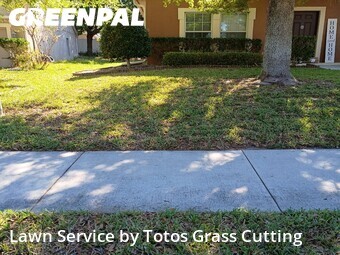 Grass Cutting nearby Apopka, FL, 