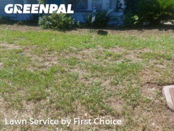 Grass Cutting nearby St. Augustine, FL, 