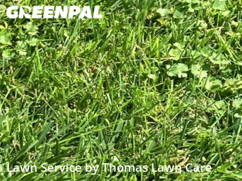 Lawn Mowing Service nearby Urbandale, IA, 