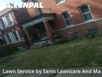 Lawn Cutting nearby St. Louis, IL, 