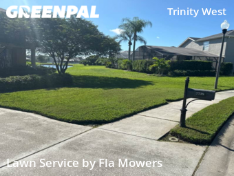 Lawn Cut nearby Trinity, FL, 