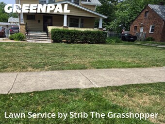 Grass Cutting nearby Euclid, OH, 